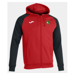 VESTE A CAPUCHE HOMME ACADEMY IV-1