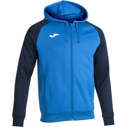 VESTE CAPUCHE ACADEMY IV-1