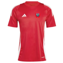 TIRO 24 JERSEY/ TEAM POWERRED 2 WHITE-1