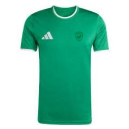 MAILLOT ENTRADA 26-1