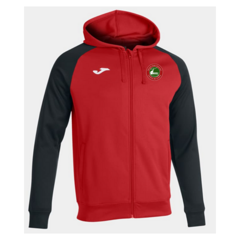 VESTE A CAPUCHE HOMME ACADEMY IV