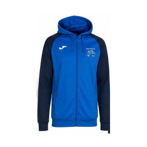 VESTE CAPUCHE ACADEMY IV