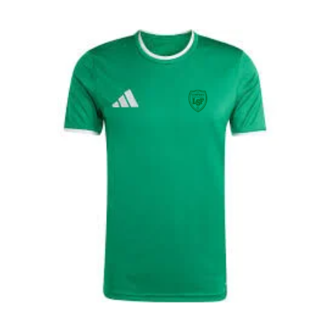 MAILLOT ENTRADA 26 JR